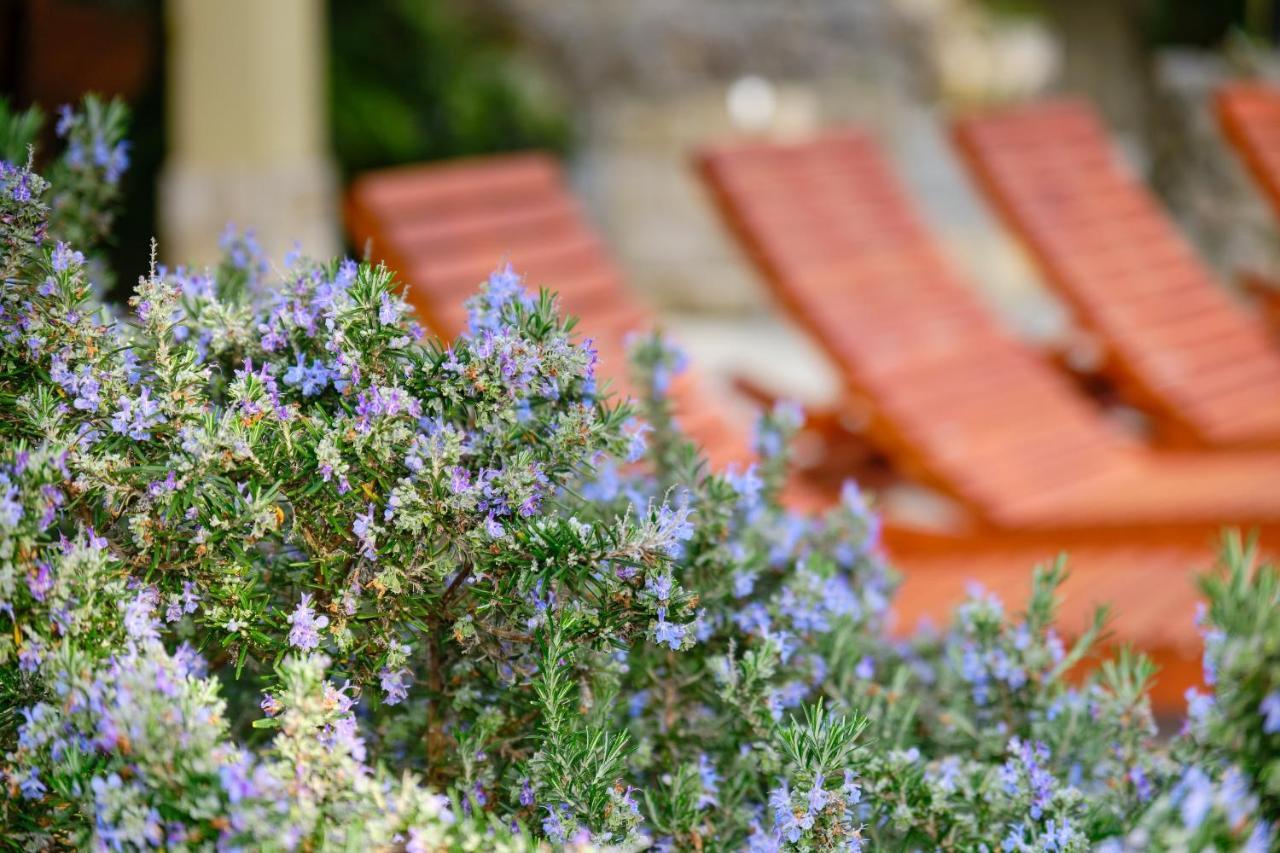 Casa Aromatica Maria Villa Mali Lošinj Exterior foto